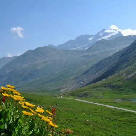 Locazione Turistica Angelica Apartment *